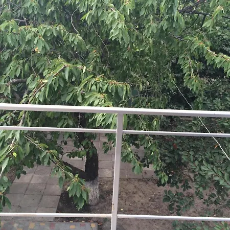 Casa de Férias Authentic Dacha