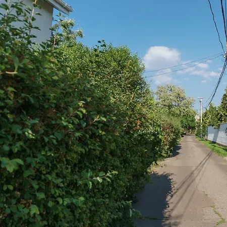 Authentic Dacha 別荘