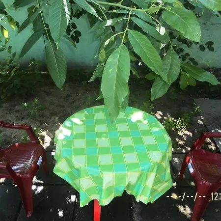 Authentic Dacha Odesa