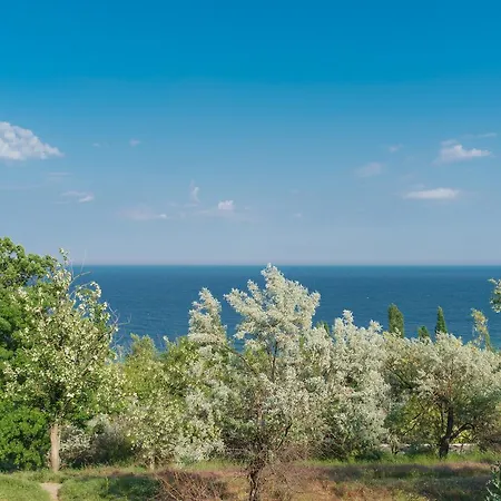 Authentic Dacha Casa de Férias *