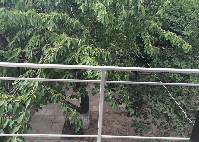 度假居 Authentic Dacha