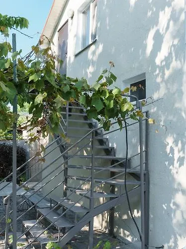 Authentic Dacha * 敖德萨